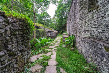 Çin 'in Yangshuo kenti yakınlarındaki yemyeşil tropikal ormanın ortasında bulunan eski ve eski bir köyün tropikal bitkileri tarafından boş, harap edilmiş ve kaplanmış evleri.