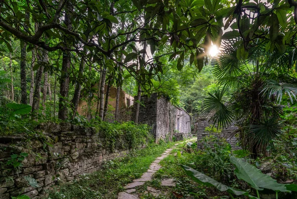 Çin 'in Yangshuo kenti yakınlarındaki yemyeşil tropikal ormanın ortasında bulunan eski ve eski bir köyün tropikal bitkileri tarafından boş, harap edilmiş ve kaplanmış evleri.