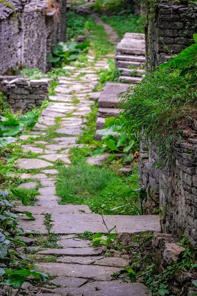 陽朔付近の緑豊かな熱帯林の真ん中にある古い村の古民家のコンクリート階段の道 — ストック写真