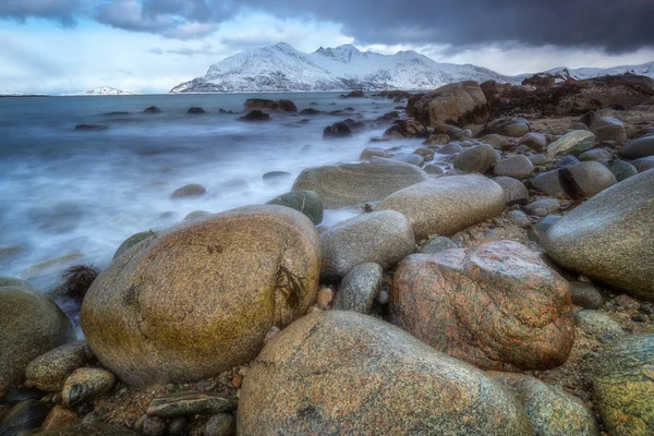 Kamienie Plaży Północnej Norwegii Tle Ośnieżone Szczyty Zimnego Końca Świata — Zdjęcie stockowe