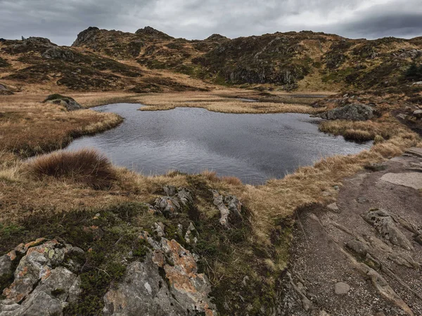 山の間の小さな湖は 枯れた植物で覆われています 秋モスと静けさのシーン フォーム Ulriken ノルウェー — ストック写真