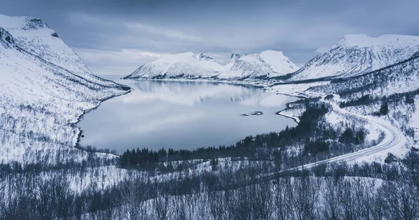 挪威Bergsbotn fjord冬夜 — 图库照片