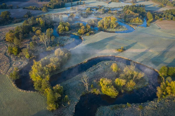 Meandering Drweca river in the morning — Stock Photo, Image