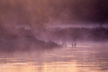 Nehirde sisli bir sonbahar sabahı