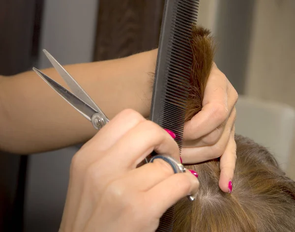 Hairdresser cuts short hair in hairdresser salon. Closeup of scissors and comb. Stylist doing hair cut of young brunette girl