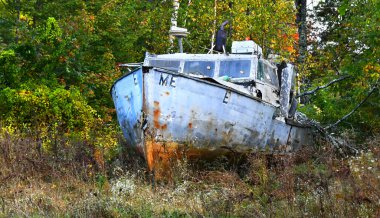 Doğaya bırakılan balıkçı teknesi Maine kırsalında yabani otlar ve aşırı büyümeyle yaşıyor. Tekne paslanmış, kırılmış ve işe yaramaz..