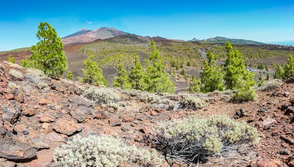 Fantastiska vulkanen på Teneriffa — Stockfoto