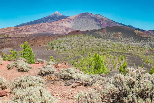 Fantastiska vulkanen på Teneriffa — Stockfoto