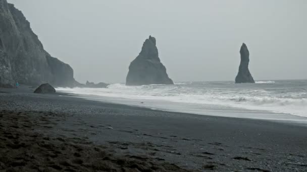 Black beach on Iceland — Stock Video