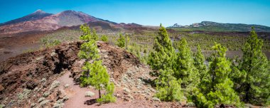 Tenerife şaşırtıcı yanardağ