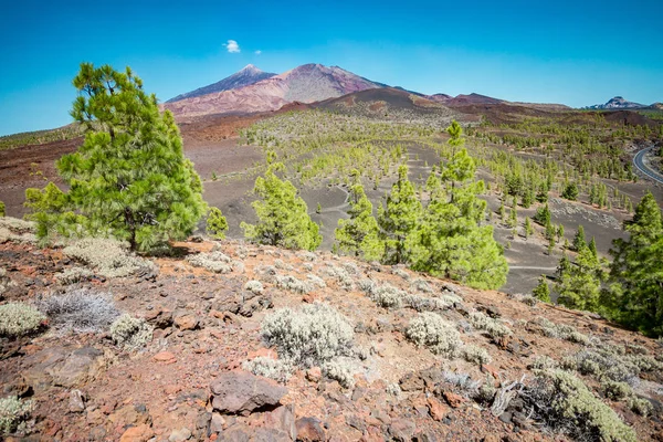 Fantastiska vulkanen på Teneriffa — Stockfoto