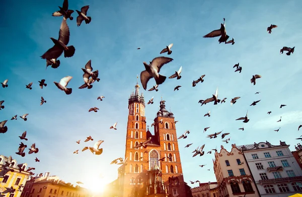 St Marys Bazilikası Krakow ana kare