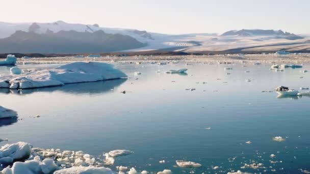 Glaciale Lagoon in IJsland — Stockvideo