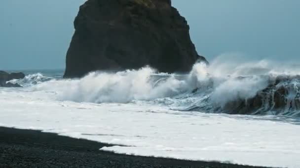 Schwarzer Strand auf Island — Stockvideo