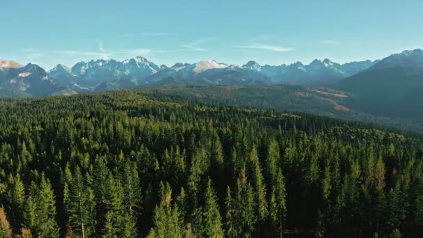 Montagne in una giornata di sole con foresta nei colori dell'autunno — Video Stock