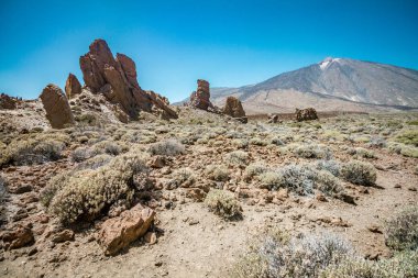 Tenerife şaşırtıcı yanardağ