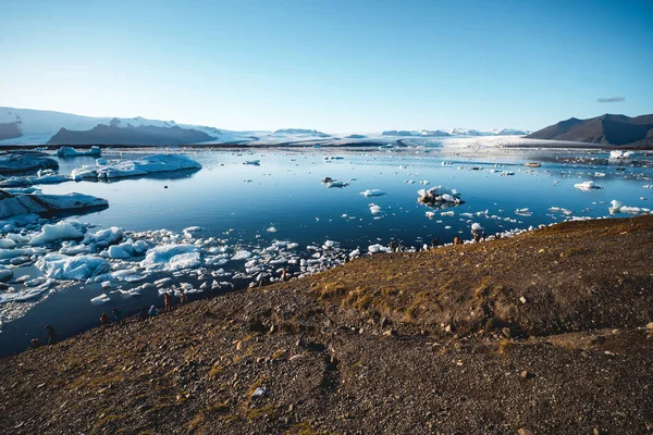 Ледниковая лагуна Исландии — стоковое фото