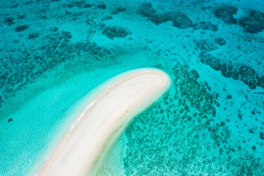 Cresta de Gallo tropikal Adası, Filipinler