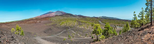 Fantastiska vulkanen på Teneriffa — Stockfoto