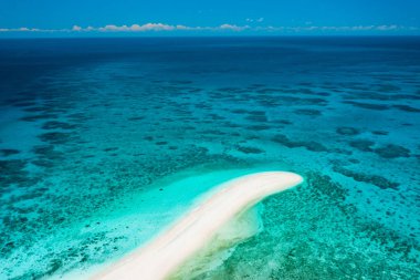 Cresta de Gallo tropikal Adası, Filipinler