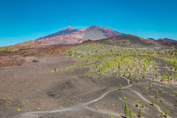Increíble volcán en Tenerife — Foto de Stock