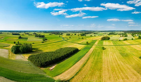 Svěží zelená Polská krajina — Stock fotografie