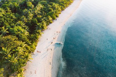 Tropikal peyzaj üstten aşağı görünümü