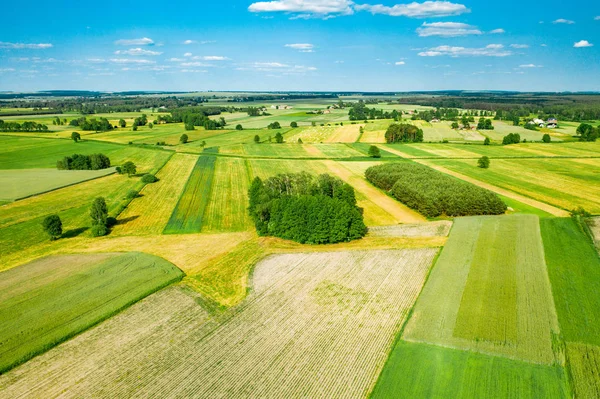 Svěží zelená Polská krajina — Stock fotografie