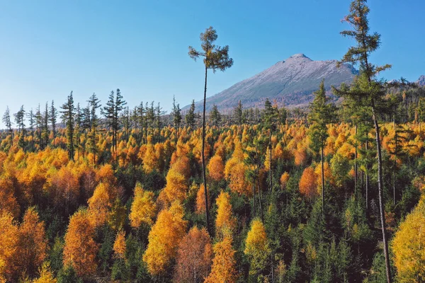 Βουνό μια ηλιόλουστη ημέρα με δάσος στα χρώματα του φθινοπώρου Royalty Free Φωτογραφίες Αρχείου