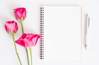 Boş defter ile pembe güller ve beyaz arka planda, düz kalem fotoğraf Notebook mesaj, Sevgililer günü kavramı yatıyordu