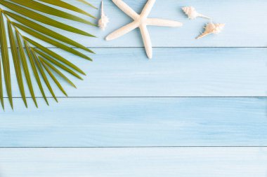 Fotoğraf Hindistan cevizi yaprağı ve deniz kıyısı mavi ahşap arka plan üzerinde yat, kavramı en iyi görünümü yaz ve montaj için alan ürün kopyalama