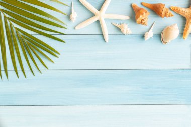 Fotoğraf Hindistan cevizi yaprağı ve deniz kabuğu ahşap arka plan üzerinde yat, kavramı en iyi görünümü yaz ve montaj için alan ürün kopyalama