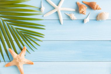 Fotoğraf saeshell ve deniz yıldızı mavi ahşap masa, üstten görünüm yat ve montaj için alan ürün kopyalayın