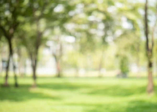 yeşil renk Garden için arka plan bulanıklık