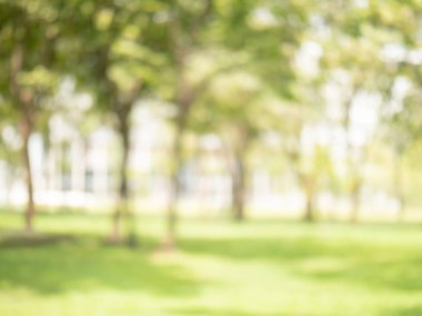 yeşil renk Garden için arka plan bulanıklık