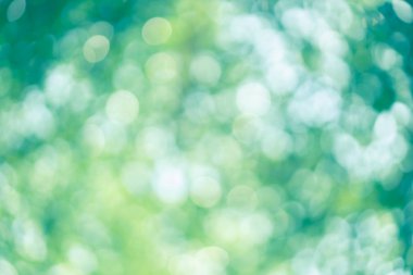 Arkaplan için soyut bulanık yeşil renk, tasarım için bulanık ve odaksız bahar kavramı