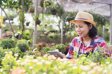Asyalı kadın Süs bitki dükkanında bitki kontrol etmek için bir tablet kullanıyor, Küçük işletme kavramı