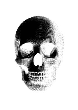 Negatif oyma kafatası vektör çizim beyaz arka plan üzerine açık görünümü