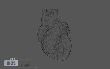 Poligonal siyah çizgi tel kafes insan kalp gri arka plan üzerinde izole