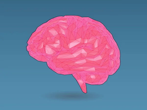 Baixo Poli Estilizado Colorido Cérebro Rosa Com Sombreamento Wireframe Ilustração — Vetor de Stock