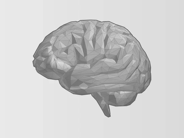 Монохромна Низькополімерна Ілюстрація Мозку Каркасом Білому Тлі — стоковий вектор