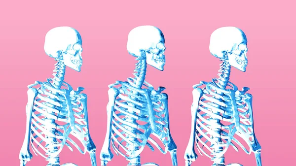 Pastel Baja Poli Esqueleto Retrato Vista Lateral Sobre Fondo Rosa — Vector de stock