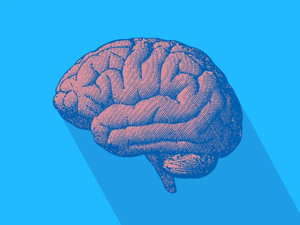 Tampilan Samping Gambar Ukiran Otak Monokrom Pada Latar Belakang Biru - Stok Vektor