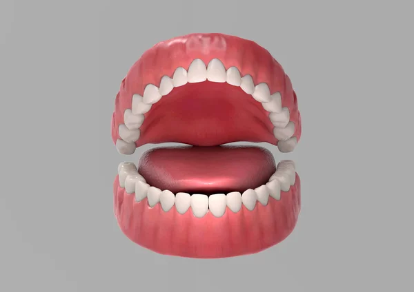 Зубна Гумка Язик Ілюстрація Сірому Фоні Відсічним Контуром Використання Будь — стокове фото