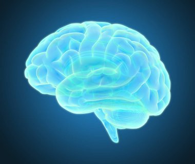 mavi renk tonu izole kırpma yoluyla kalıp herhangi bir zemin içinde kullanmak için kesme için koyu renk arka plan üzerinde renkli parlak xray beyin 3D resimde