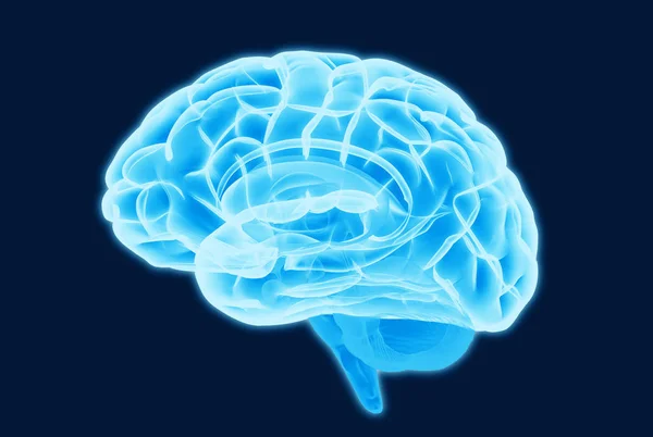 Blue Light Glowing Xray Brain Illustration Isolated Dark Background Clipping — Stock Photo, Image