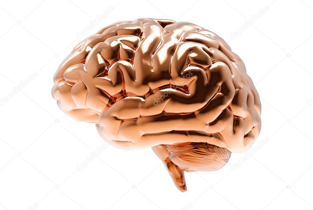 3D bronze brain rendering illustration isolated on white background with clipping path for die cut to  use in any backdrop