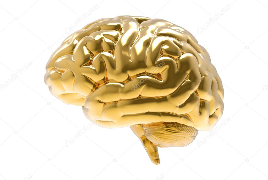 3D golden brain rendering illustration isolated on white background with clipping path for die cut to  use in any backdrop