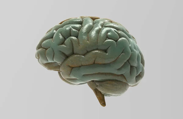 Renderização Verde Bronze Cérebro Humano Isolado Fundo Cinza Com Recorte — Fotografia de Stock