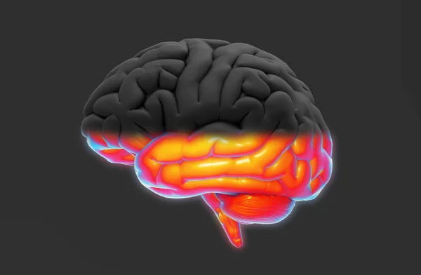 Mänskliga Hjärnan Rendering Hälften Med Svart Och Färgglada Isolerad Mörkgrå — Stockfoto